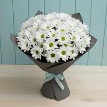 Букет цветов из:  Хризантемы #REPLACE_PRED# Пивоварихе