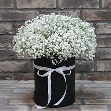 Цветочная композиция из Гипсофила в шляпной коробке #REPLACE_PRED# Пивоварихе